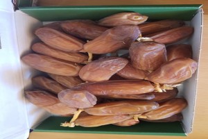 Halfdroge Dadels (AAA) from Algerije